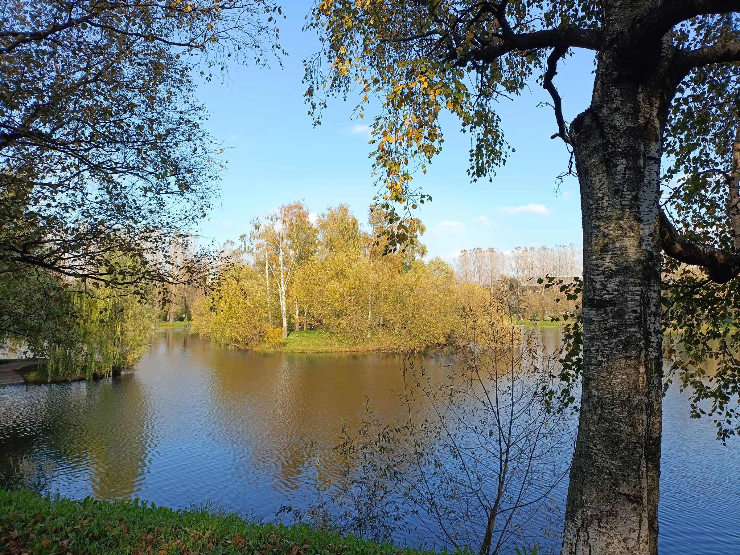 Пейзаж